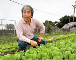 陳澄芳推動豐藝內部吃健康食材，自己是董事長兼義工。