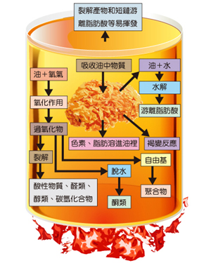 (照片提供/科學人)