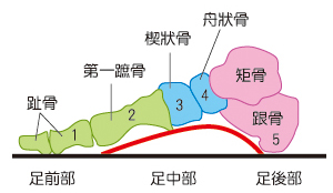 (照片提供/科學人)