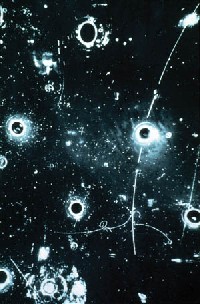 (照片提供/科學人)