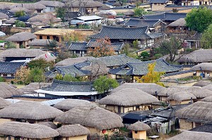 (攝影/曾瀞葳)